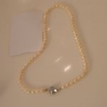 313 5371 Pärlcollier